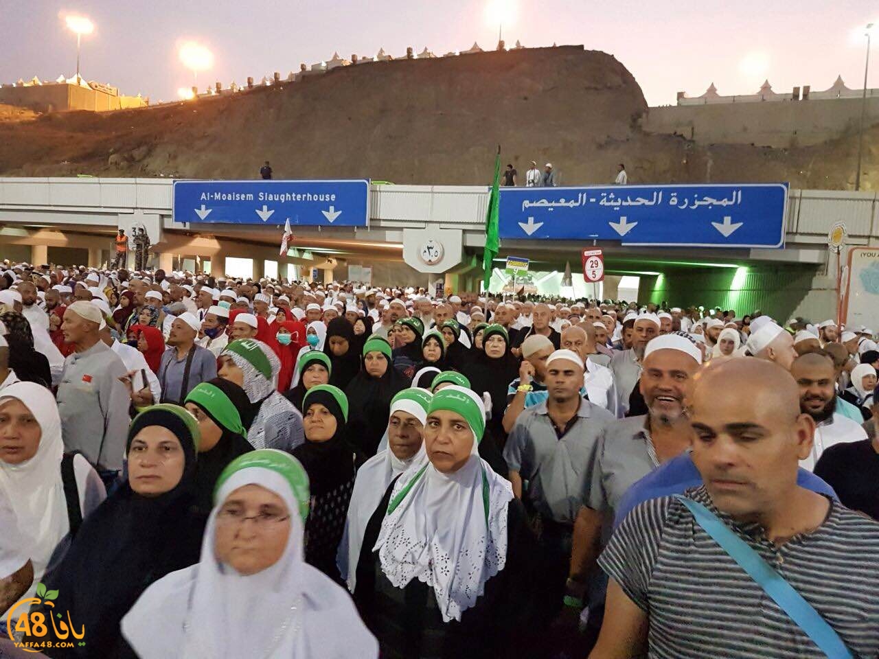 7ojajaya lud ramla (3).JPG